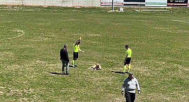 Amatör müsabakada sahaya giren köpeğe kırmızı kart