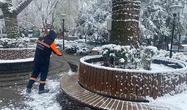 Ankara'da açan çiçeklerin üzerine kar yağdı