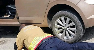 Aracın kaputuna giren yavru kediyi itfaiye kurtardı