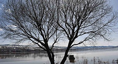 Ardahan ovası nehrin taşmasıyla yeniden sular altında kaldı
