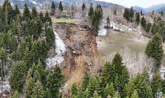 Ardanuç'ta ormanlık alanda yaşanan heyelan korkuttu