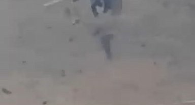 Arıyı ağına düşürüp etrafını sardı