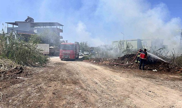 Arsuz'da sazlık yangını