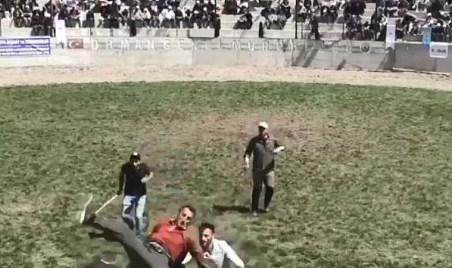 Artvin'de 500 kilogramlık boğa bakıcısını hastanelik etti