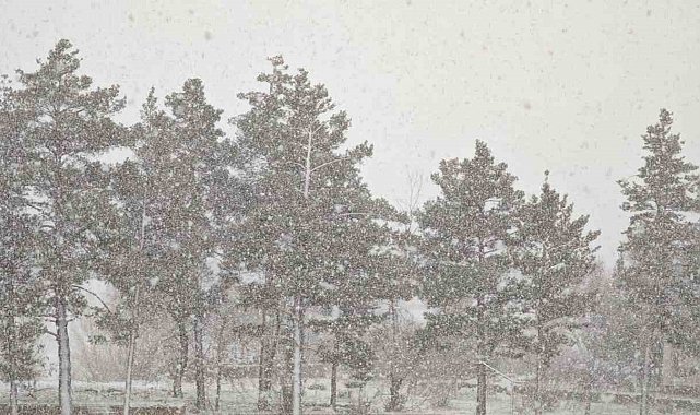 Aşkale nisan ayında kışı yaşıyor