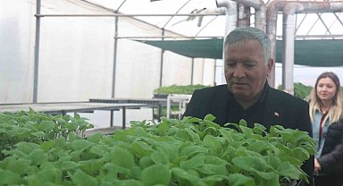 Ata mirası tohumlar milyonlarca fideye dönüştü