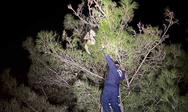 Ayağına misina dolanan leyleğe itfaiyeden hayat kurtaran müdahale