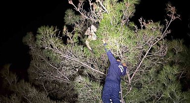 Ayağına misina dolanan leyleğe itfaiyeden hayat kurtaran müdahale