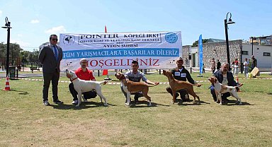 Aydın'da köpekler podyuma çıktı