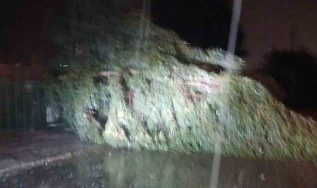 Aydın'da kuvvetli rüzgar hayatı olumsuz etkiledi