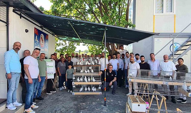 Azman güvercinler güzellikleriyle yarıştı