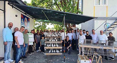 Azman güvercinler güzellikleriyle yarıştı