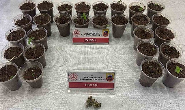 Bagajdan bardak bardak kenevir çıktı: Uyuşturucuyla yakalanan şüpheli tutuklandı