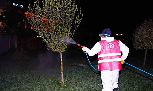 Bahar ilaçlaması başladı