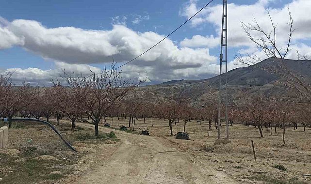 Bahçelerde ateş yakıldı, meyve üreticileri zirai don tehlikesine önlem aldı