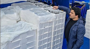 Balık sezonunda İnebolu'dan 2 milyon 965 bin ton balık karaya çıkartıldı