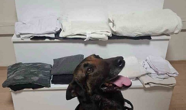 Balıkesir'de 6 kilo uyuşturucu yakalandı: 3 gözaltı