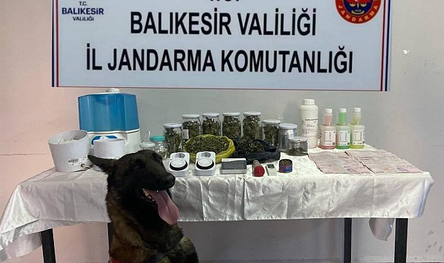 Balıkesir'de jandarmadan kaçakçılık ve uyuşturucuya darbe: 81 şüpheliye işlem yapıldı