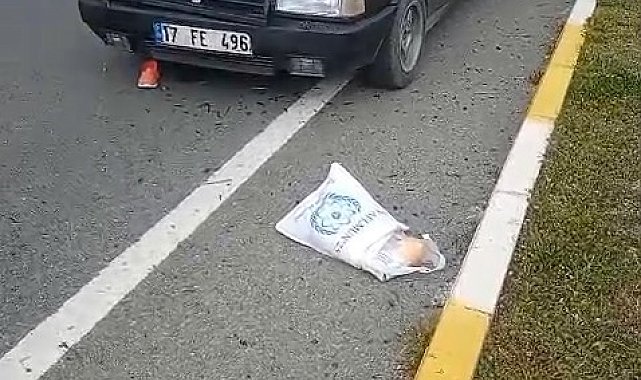 Balıkesir'de otomobilin çarptığı 92 yaşındaki kadın ağır yaralandı