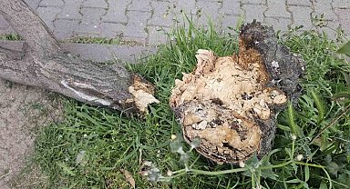 Bandırma'da fırtına hayatı olumsuz etkiledi