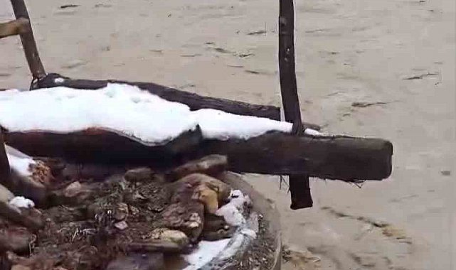 Bartın'da dere taştı, köprü yıkıldıı