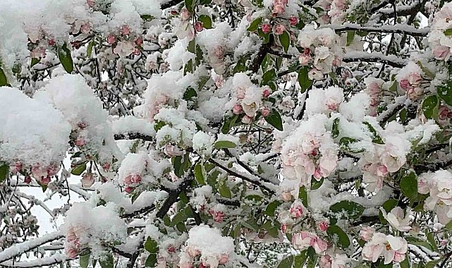 Bartınlılar kar yağışı ile uyandı