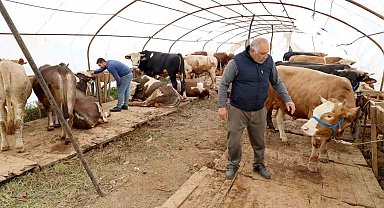 Başiskele'deki kurbanlık satış yerinde hazırlıklar tamam