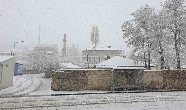 Başkale'ye kış geri geldi ilçe beyaza büründü