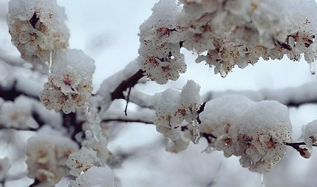 Başkan Er: "Gönlümüzü yakan bir manzarayla karşı karşıyayız"