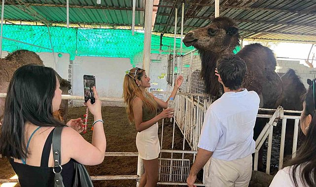 Başkan Kaya'dan Avrupalı öğrencilere devecilik dersi