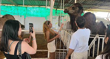Başkan Kaya'dan Avrupalı öğrencilere devecilik dersi
