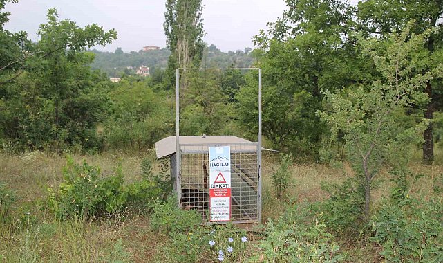 Başkan Özdoğan: "Vatandaşımızın güvenliği her şeyden önce gelir"