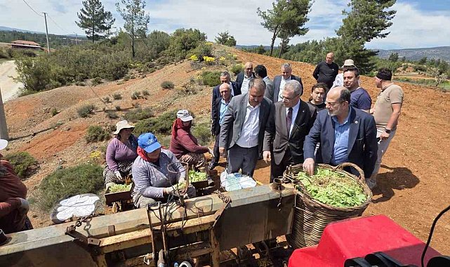 Başkan Pütün, Genel Başkan Yardımcısı Osmanağaoğlu ile birlikte Beyağaçlı çiftçilerle buluştu
