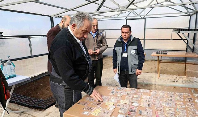 Başkan Yalçın tulumu çekti, tohumları toprakla buluşturdu