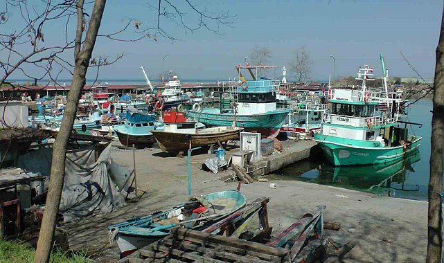 Batı Karadeniz'de balıkçılar sezonu erken kapattı