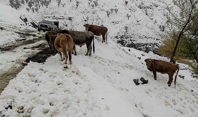 Batman'da nisan ayında kar çilesi: 60 yerleşim yerinin yolu ulaşıma kapandı