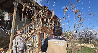 Bayburt'ta meyve ağaçlarında hastalık kontrolleri yapıldı