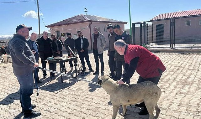Bayburt'ta sokak hayvanlarını yakalama personeline eğitim