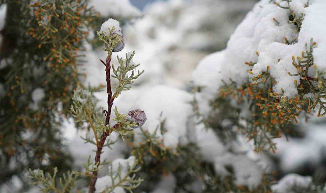 Bayburtlu çiftçilere zirai don uyarısı