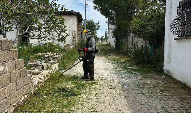 Belediye ekipleri Akköy'de otlara geçit vermiyor