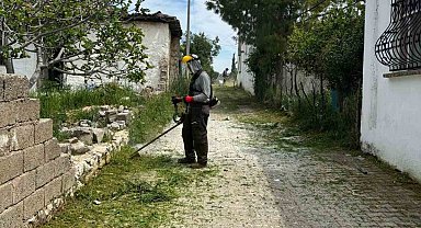 Belediye ekipleri Akköy'de otlara geçit vermiyor