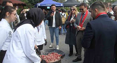 Beyşehir'deki festivalde yöresel lezzetler de görücüye çıkarıldı