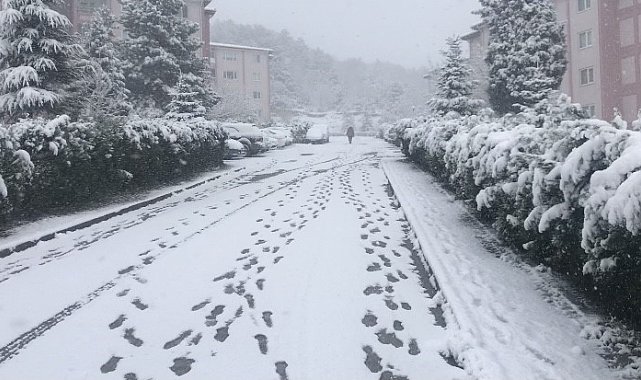 Bilecik'teki kar bazı köy yollarını ulaşıma kapattı