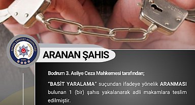 Bingöl'de çeşitli suçlardan aranan 11 kişi yakalandı