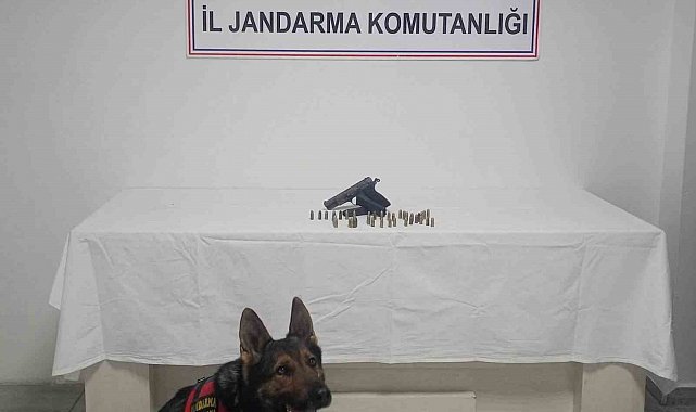 Bingöl'de ruhsatsız silah ele geçirildi