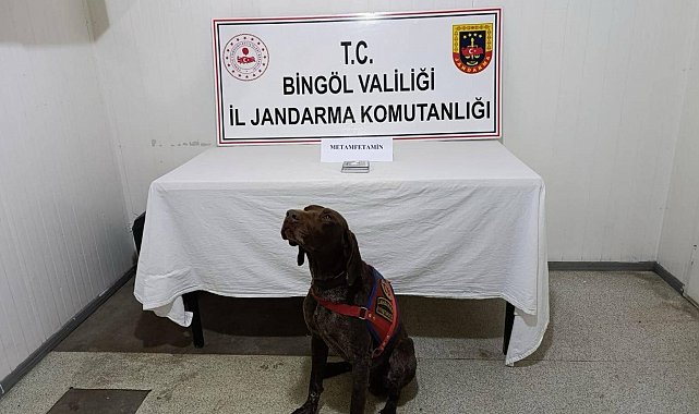 Bingöl'de uyuşturucuyla mücadele: 2 gözaltı