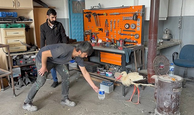 Bitkin haldeki leyleğe oto kaporta ustası sahip çıktı