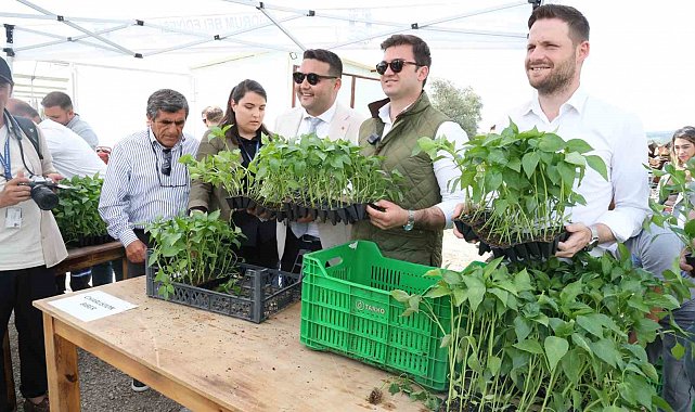 Bodrum Belediyesi tarafından ata tohumlardan üretilen 250 bin fide 1 saatte bitti
