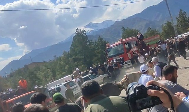 Boğa güreşlerinde panik dolu anlar