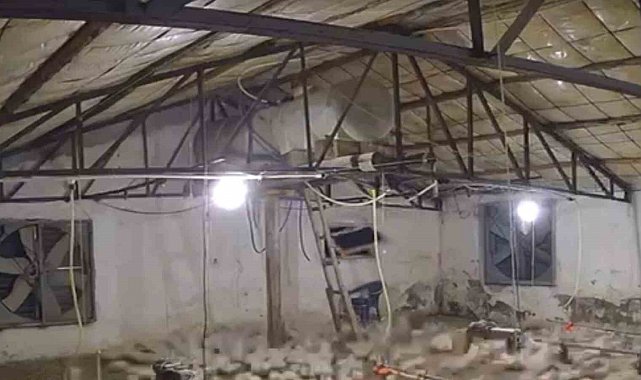 Bolu'da kümese girmeye çalışan ayı kamerada